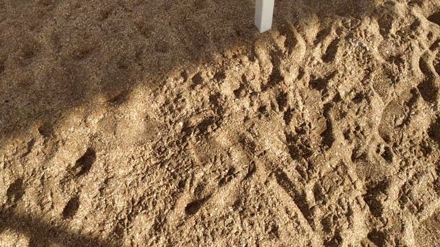 Люди свиньи а потом пляж грязный смотреть онлайн