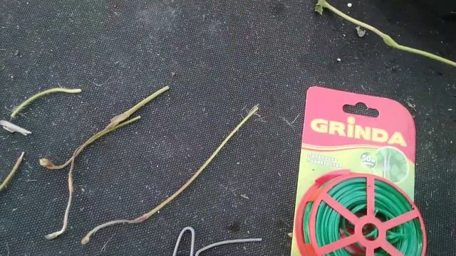 Чем пришпилить усики клубники,эконом варианты! смотреть онлайн