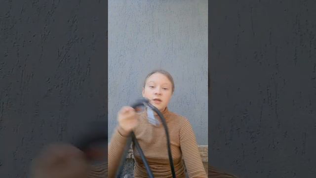 Амуниция моей собаки/хаски Альфа🤎🤍 смотреть онлайн