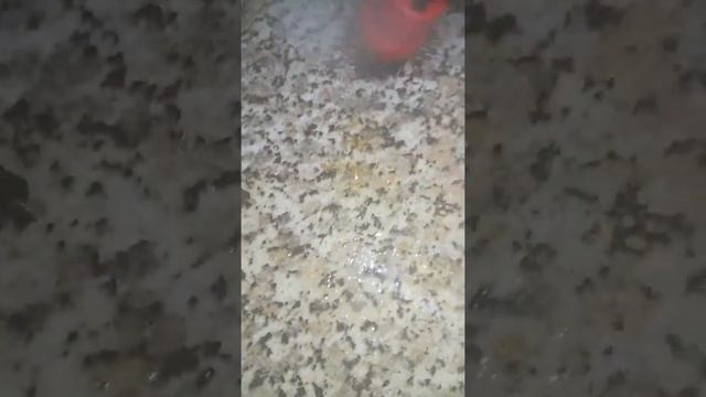 Пароочиститель karcher sc 2 смотреть онлайн