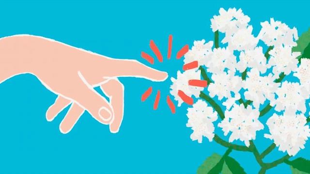 Почему опасен борщевик смотреть онлайн