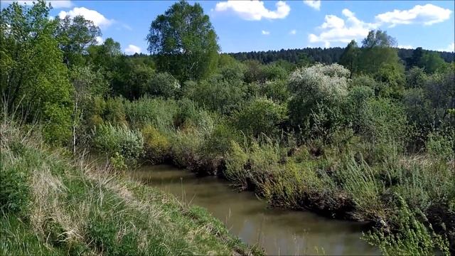 24.05.2021 г. Река Тарсьма Весной. Неописуемое зрелище! смотреть онлайн