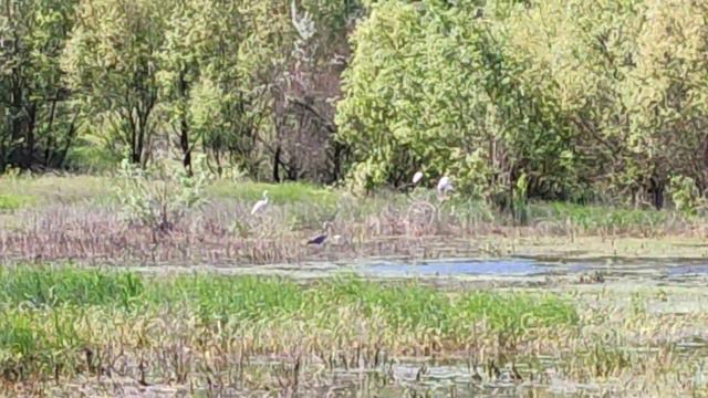 Лекарственное, живописное село у реки Западный Булганак. Симферопольский район. Крым смотреть онлайн