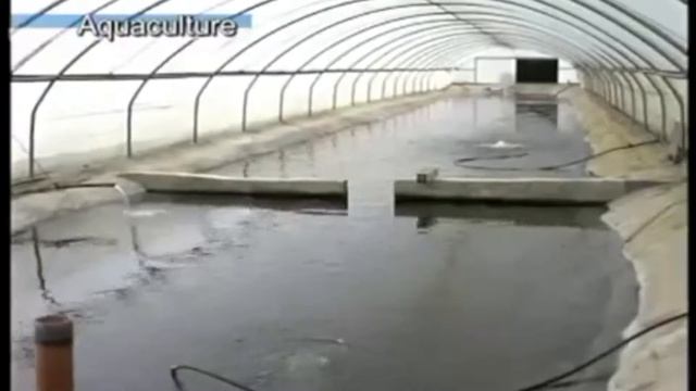 Agritech 2018 | Russian смотреть онлайн