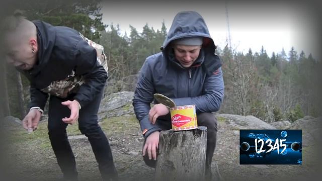 ТОП-5 РЕАКЦИЙ НА ПРОБОВАНИЕ СЮРСТРЕММИНГА. БЛОГГЕРЫ ЕДЯТ ГНИЛУЮ СЕЛЕДКУ