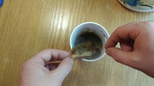 Бумажные фильтры для заваривания кофе