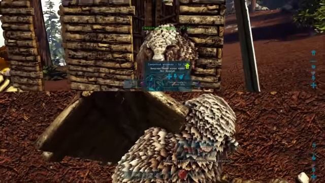 ARK Гайд как приручить медведя. смотреть онлайн