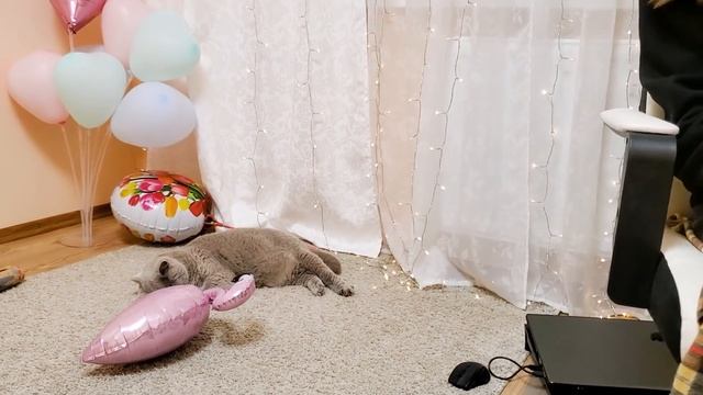 Мама Заставила? меня убираться в канцелярии? смотреть онлайн