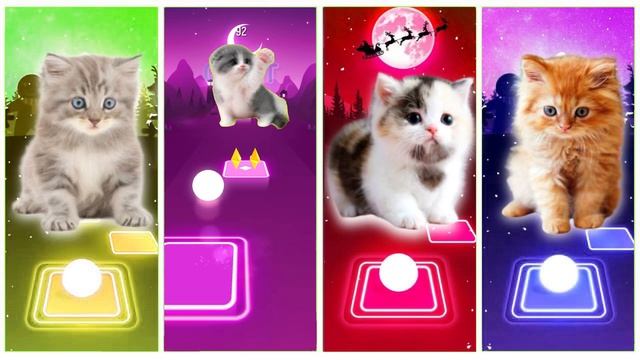 Cute Cats Blackpink vs BTS vs Amogus vs Lisa Money | Tiles Hop EDM Rush | Magic Tiles смотреть онлайн