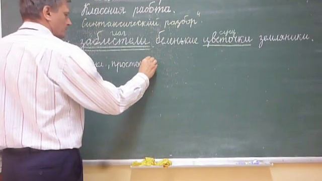 Синтаксический разбор простого предложения в 4 классе смотреть онлайн