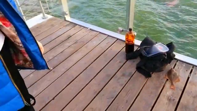 Мальчишки сошли с ума, прыгаю в холодное море смотреть онлайн