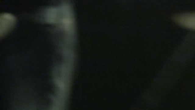 Встреча Рыбы -Зори (первое исполнение 8.10.2010) смотреть онлайн