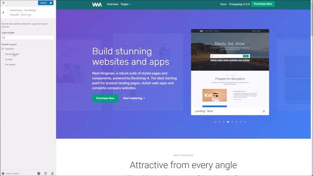 Wingman WordPress Theme - Theme Options Overview смотреть онлайн