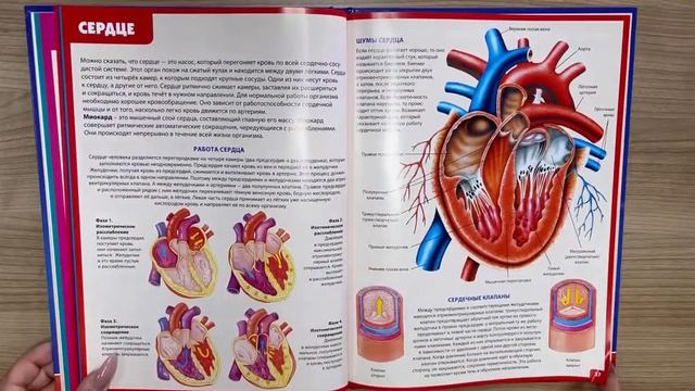 Атлас анатомии человека. Книга для детей и их родителей смотреть онлайн