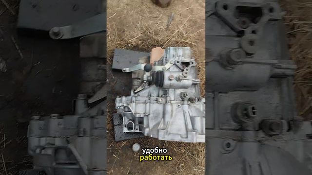 Приколы сто....Сто моментов юмора №13 #приколы #развлечения #смех #юмор #как#смешныевидео смотреть онлайн