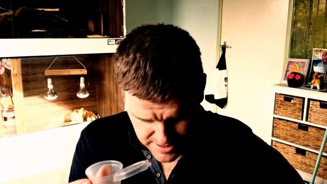 Superworms To Beetles.... How To Turn A Superworm Into A Superworm Beetle смотреть онлайн