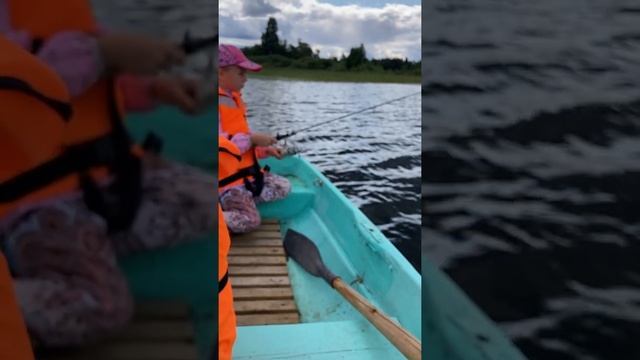 Рыбалка на СЕЛИГЕРЕ Дети учатся ловить рыбу на спиннинг. ОКУНЬКИ. Дом Рыбака Заречье 33 смотреть онлайн