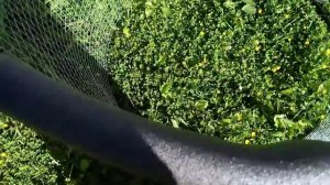 Самодельная ёмкость для воды DIY Water Tank