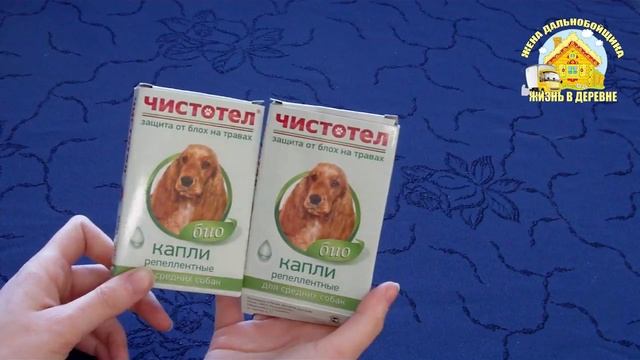 Магазин "Порядок" // Посуда // Покупки для сада и огорода // Жизнь в деревне смотреть онлайн