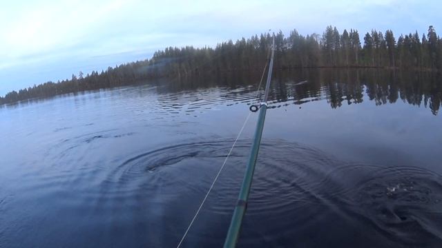 ТАЙГА! Проверяем в речке сеть!Взял прибор поискать рельсы!Подковы лезут из под пня! смотреть онлайн