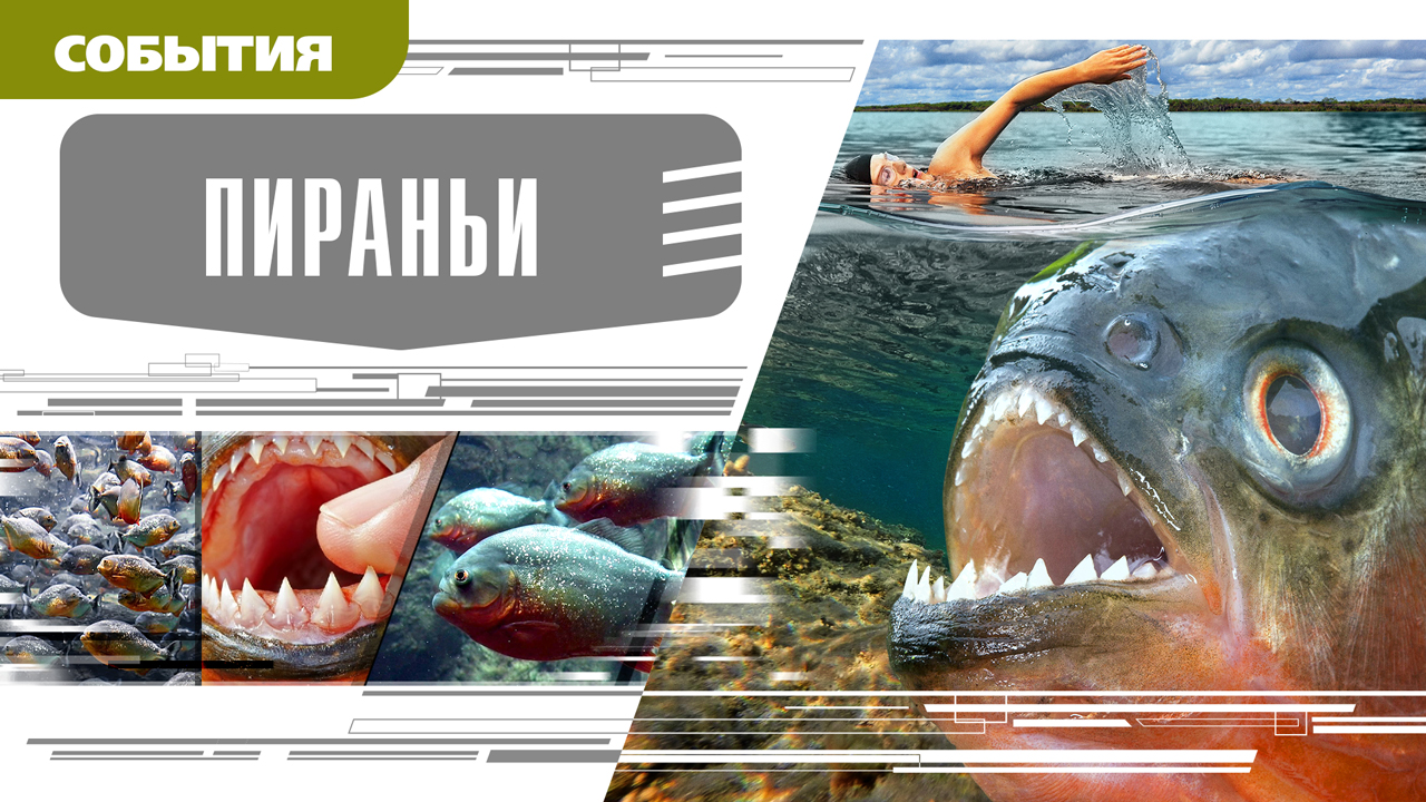 ПИРАНЬИ. Аудиокнига. Время События Люди!