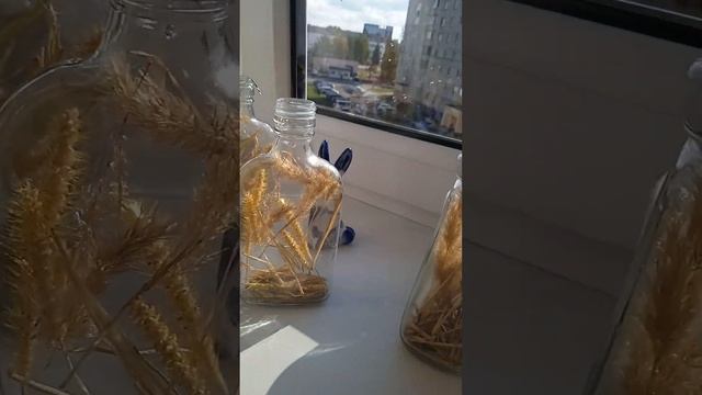 23.10.2023 г. Brest Belarus.... My Hand Made Viktorii/ Мои ручные работы... смотреть онлайн