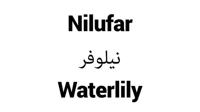 How to Pronounce Nilufar! - Middle Eastern Names смотреть онлайн