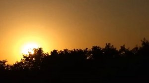 Schleich/Шляйх сериал "Неудача Новенькой" 9серия конец 1 сезона