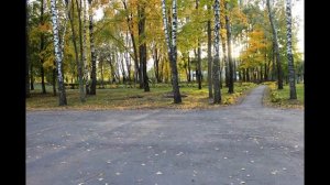 Кокино. Брянская область