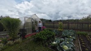 6 соток 9 августа 2024 года. Хроника.