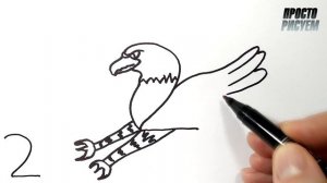 Как нарисовать ОРЛА из цифры 2