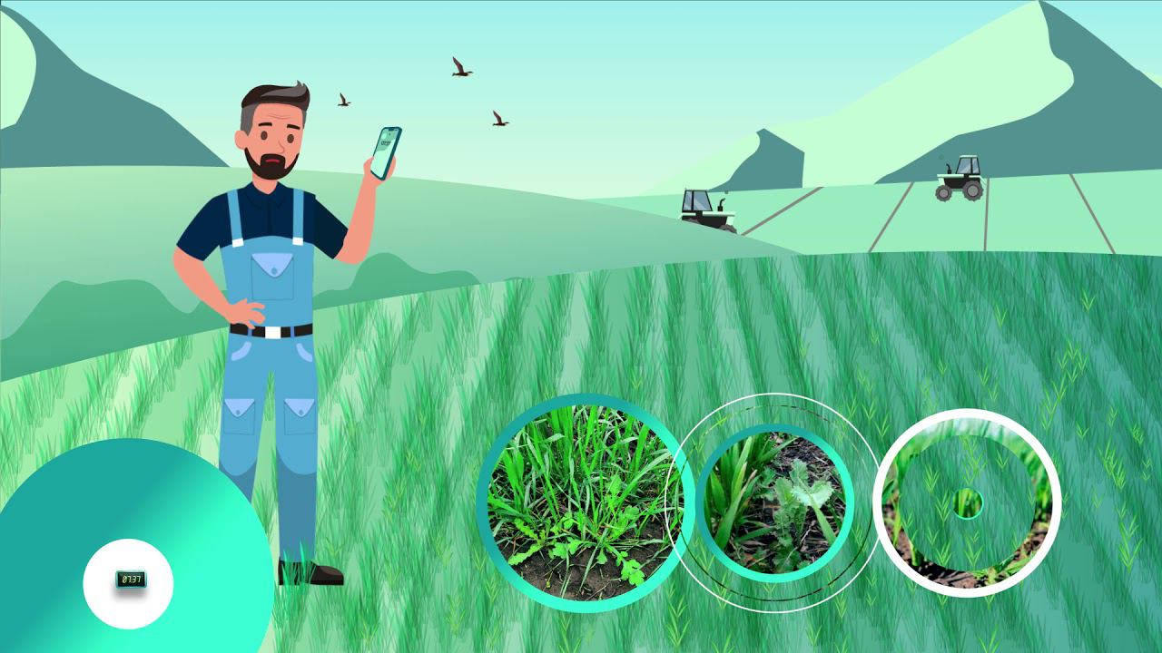 ScyScout. Карманный помощник смотреть онлайн