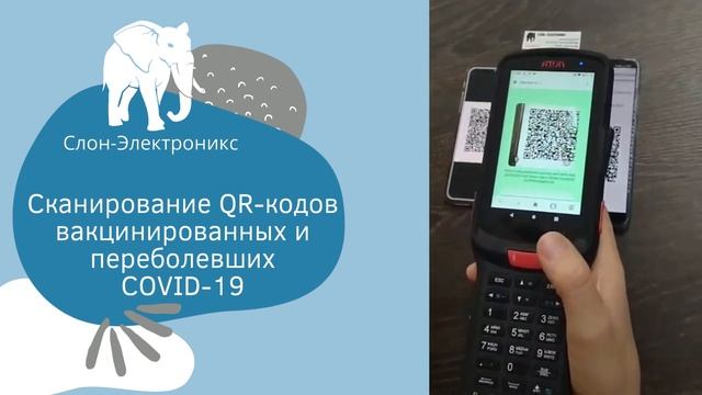 Сканируем QR-код вакцинированных и переболевших COVID-19 смотреть онлайн