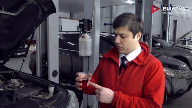 Поздравление с 23 февраля от Вилгуд! смотреть онлайн