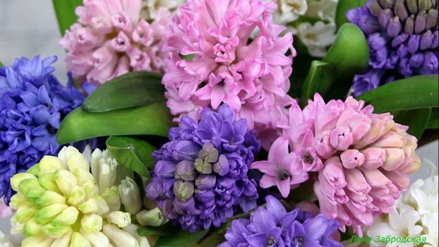 ТЕБЕ ВЕСЕННИЕ ЦВЕТЫ! смотреть онлайн