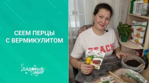 Тонкости посева перца на рассаду с вермикулитом.  Рассада в  сезон 2020.