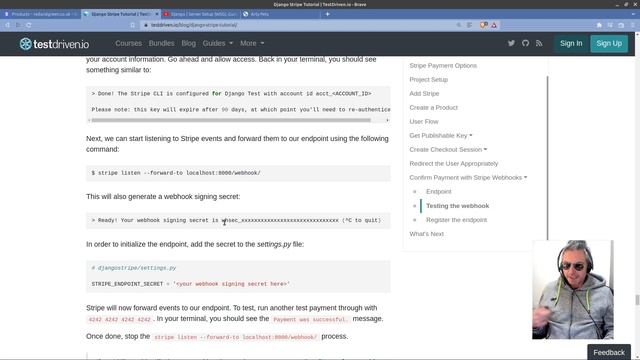 Django Stripe Checkout | sell products online смотреть онлайн