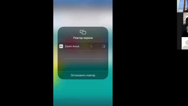 Практика проведения онлайн совещаний на платформе STORMZ смотреть онлайн