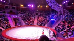 ПРЕДСТАВЛЕНИЕ В ЦИРКЕ| НАЗВАНИЕ:"КЛОУН"