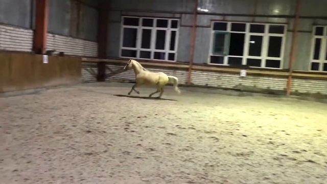 Стартрек1 смотреть онлайн