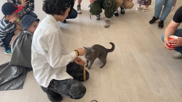 НАПАДЕНИЕ ЗМЕИ НА ЧЕЛОВЕКА, ДРЕССИРОВАННЫЙ КОТ И РУЧНАЯ ЛАСКА НА РЕПТИЛИУМЕ 2021 смотреть онлайн