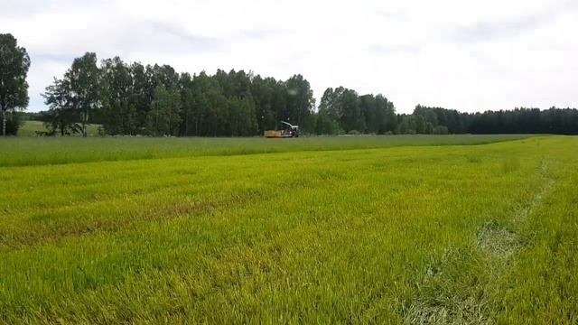 Заготовка клевера на силос 2020... трудимся как пчелы смотреть онлайн