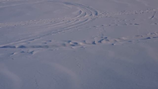 Тест камеры Iphone 4S смотреть онлайн