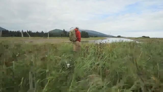 Lumix GH5 Camera Review