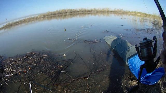 Рыбалка 2023. С фидером на реке. Ловля язя и леща. смотреть онлайн