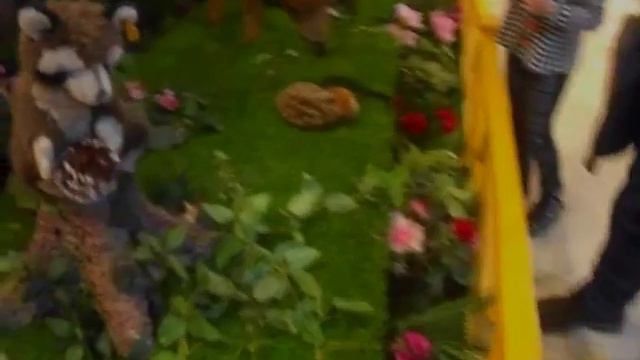 Волшебное путешествие в Рождество 2018 ч.3 Зверинец в ТРЦ Европейский смотреть онлайн