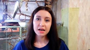 Минусы СОДЕРЖАНИЯ ПОПУГАЯ кореллы. Вы к этому готовы?