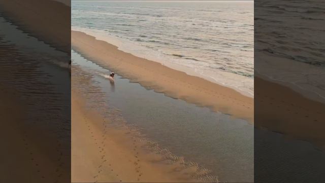 Telemna Tienya - Song In Quenya (translation Of 