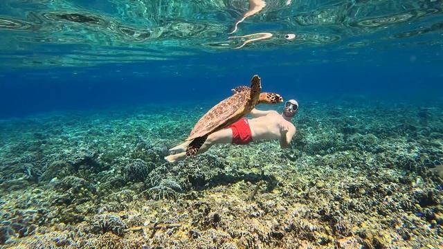 ?✅ CONFIRMADO! ✅? GoPro HERO 12 BLACK!!!