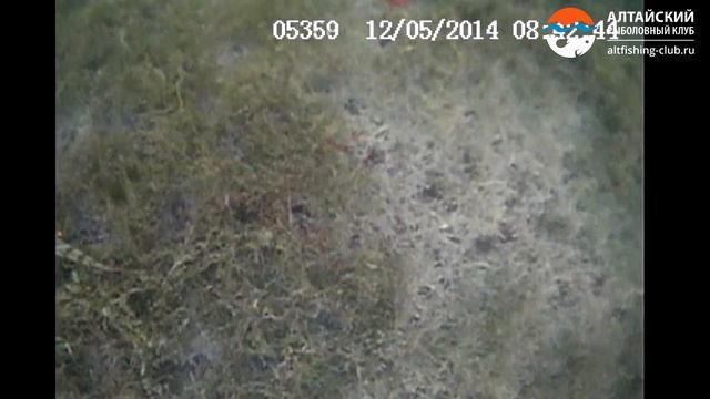 Тренировка перед соревнованием Золотая мормышка 2014 смотреть онлайн